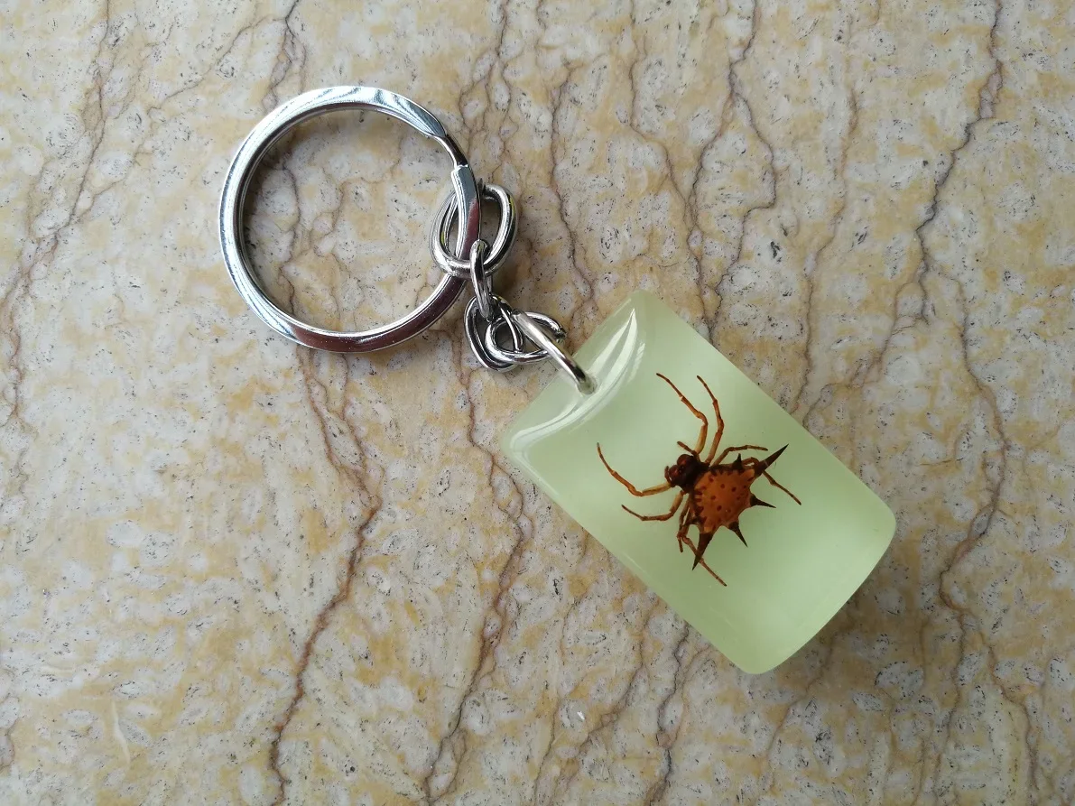 YQTDMY 10 шт. брелок для ключей в виде скорпиона насекомых