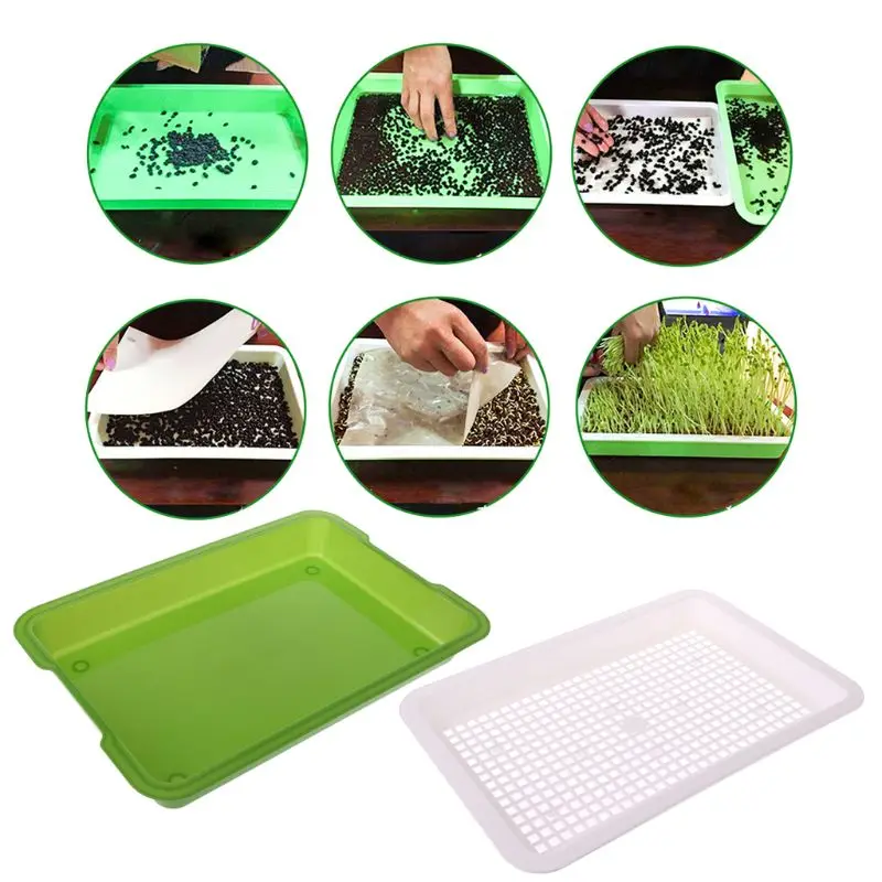 Гидропонные Ящики Для Тюльпанов Купить