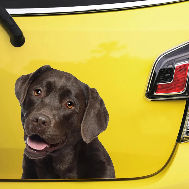 Наклейка для автомобиля водостойкая из лабрадора V1358