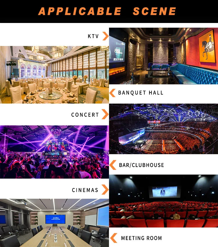 Рисунок 6 - Профессиональные звуковые цифровые