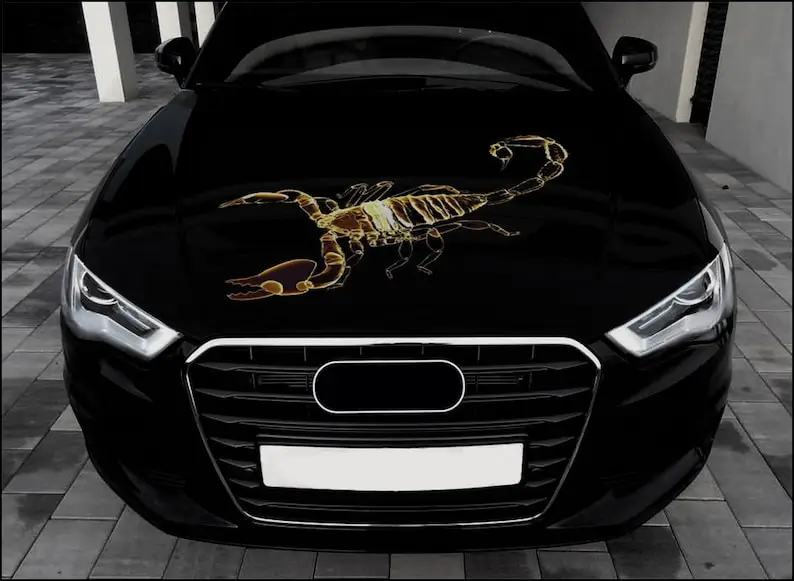 

Scorpion Car Hood Wrap Full Color Vinyl Decal Insect Sticker