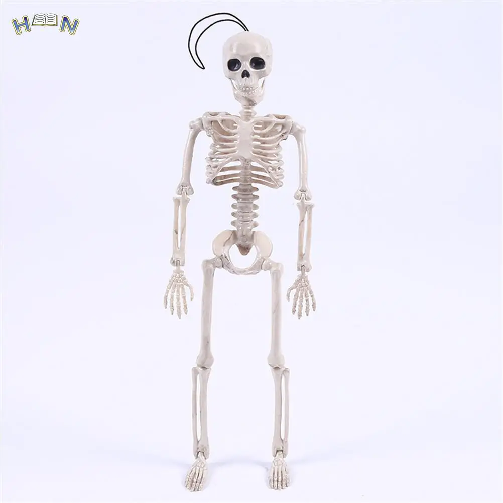 

Wholesale Medical Learn Aid Anatomy art sketch 40CM Halloween Flexible Human Anatomical Anatomy bone Skeleton Model Medical