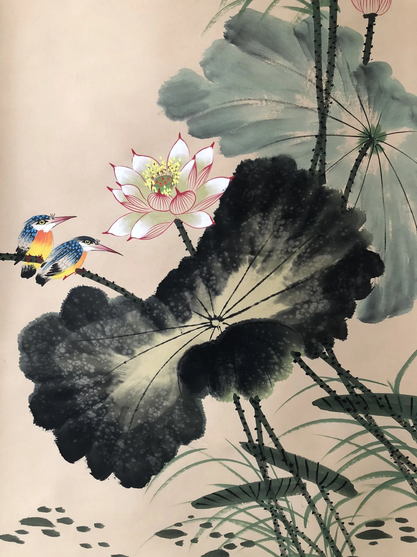 Decorative paintings elegant Art Treasures Collection value Pure hand-painted Classics of Chinese painting housewarming gift