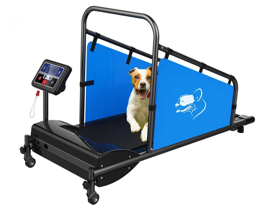 

Hot Sale Dog Treadmill Walking Machine Pet Treadmill For Dogs
