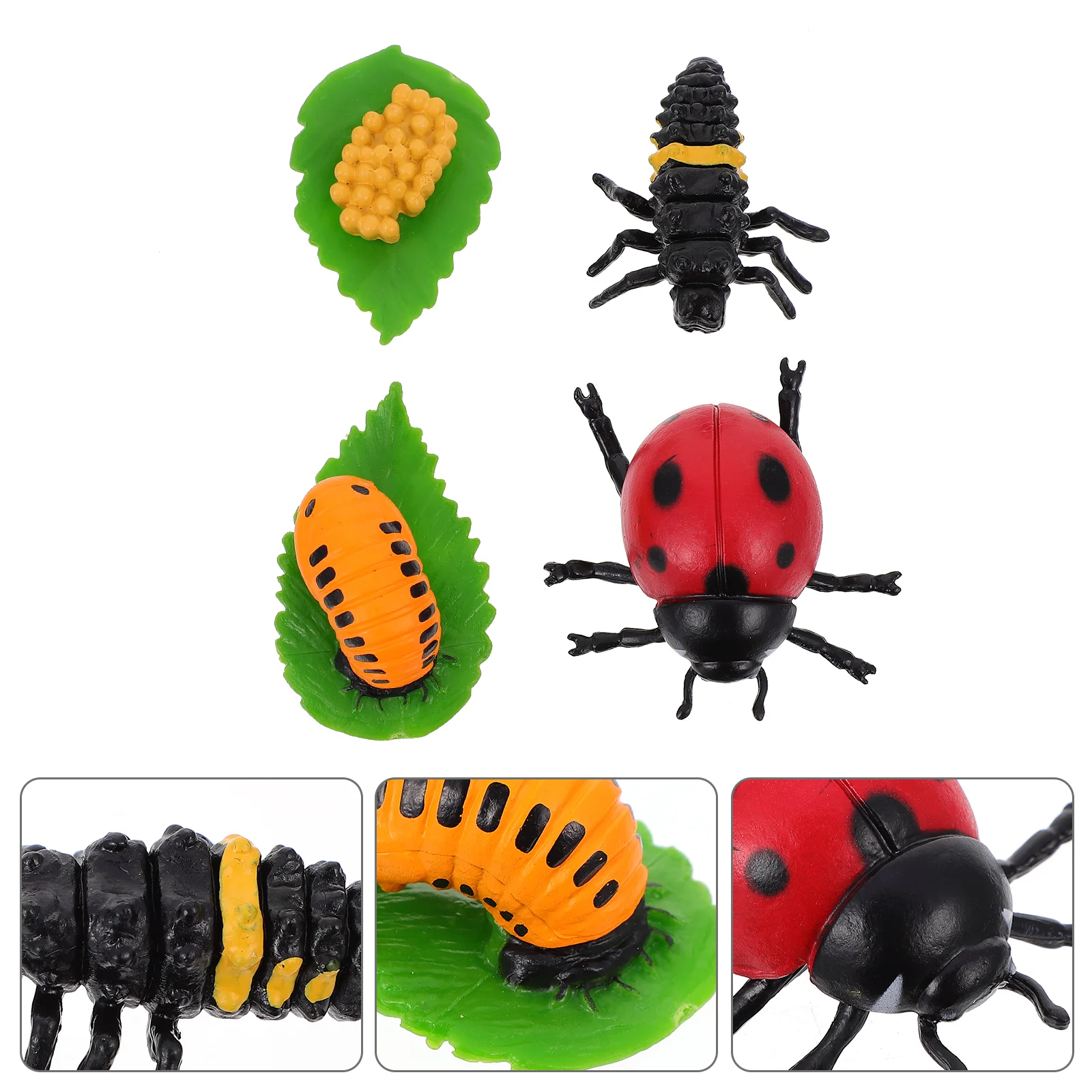 

4 Pcs Ladybug Growth Ornaments Cycle Toy Insect Statue Turtle Gifts Decor Figurines Miniatures Kids Teaching Aids Life