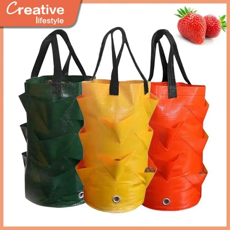 

Grow Accessories Grow Hanging Bag Vegetable Seeds For Planting Vegetable Garden Supplies Agriculture Planters Holders For Garden