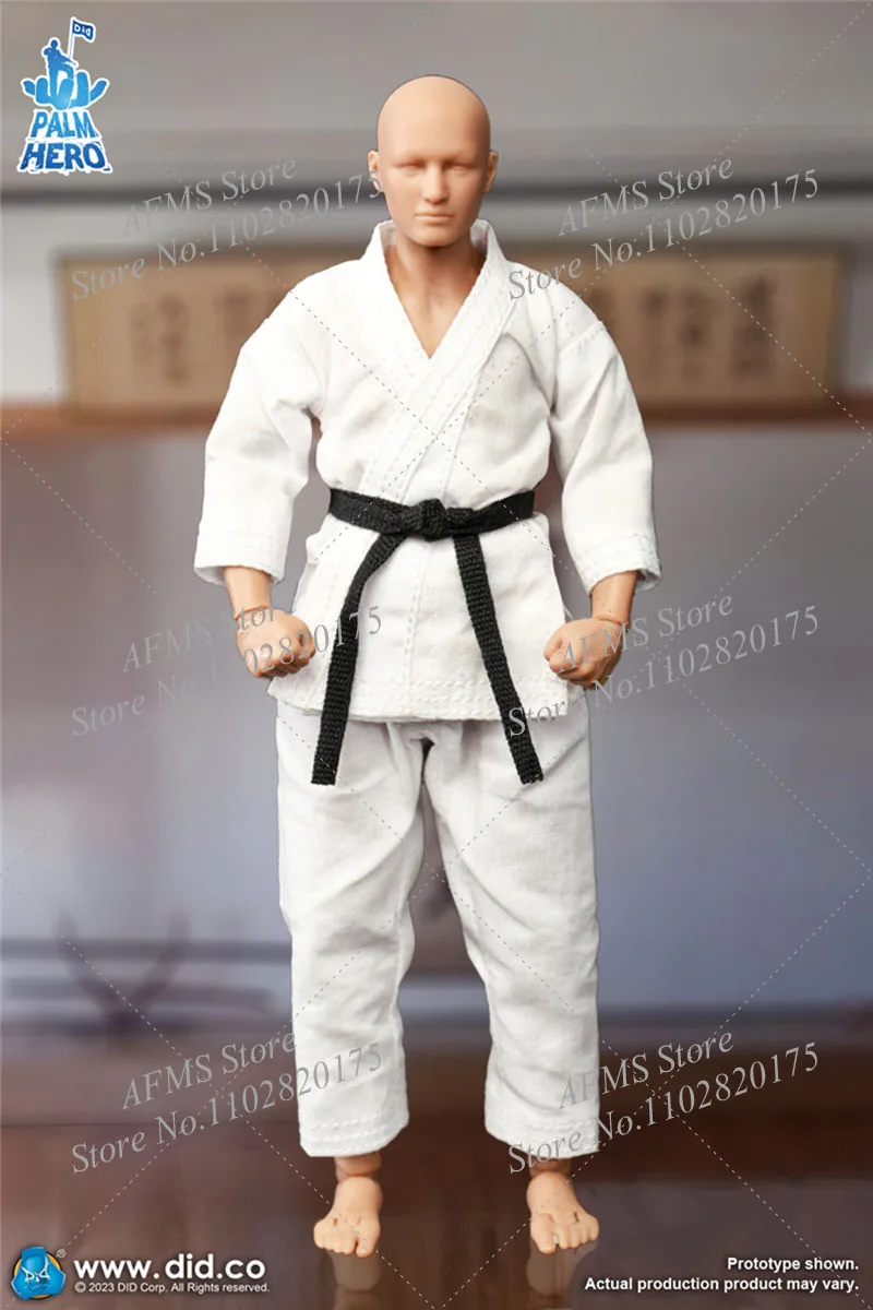 Hot Toys The Simply Fun DID SF80001 1/12 Мужская фигурка каратиста