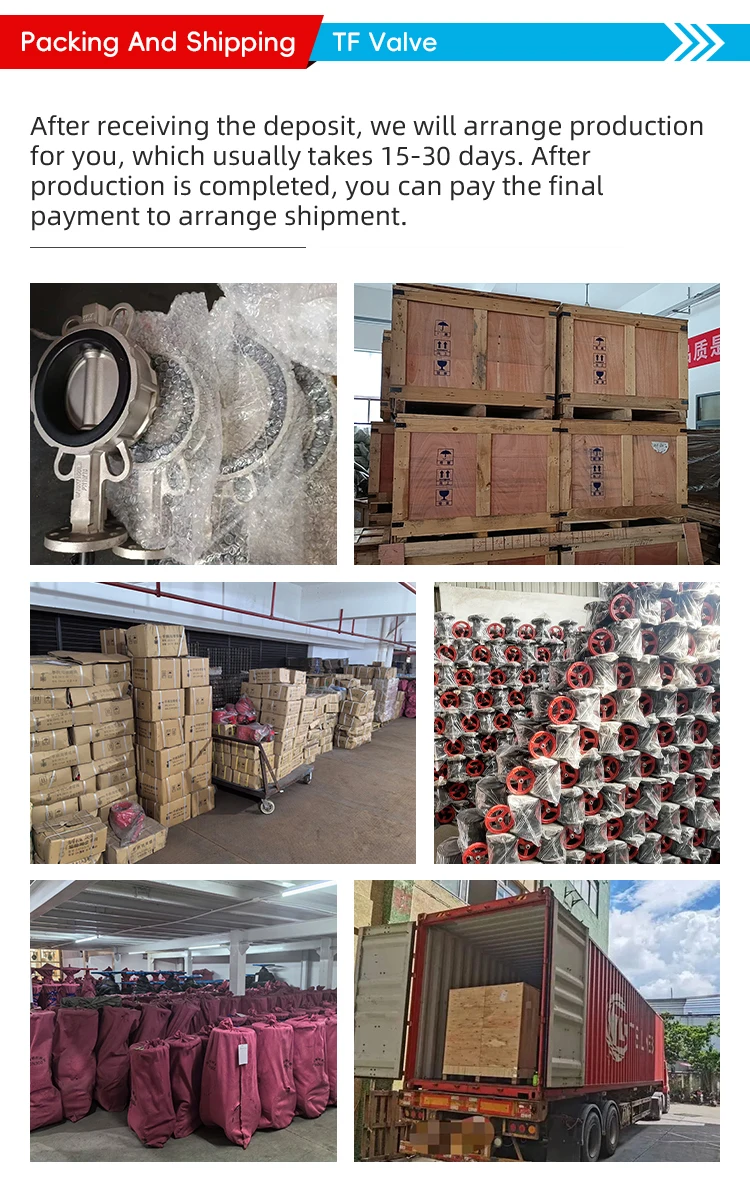 Электрический привод TF с моторизованной литой из нержавеющей стали шаровой