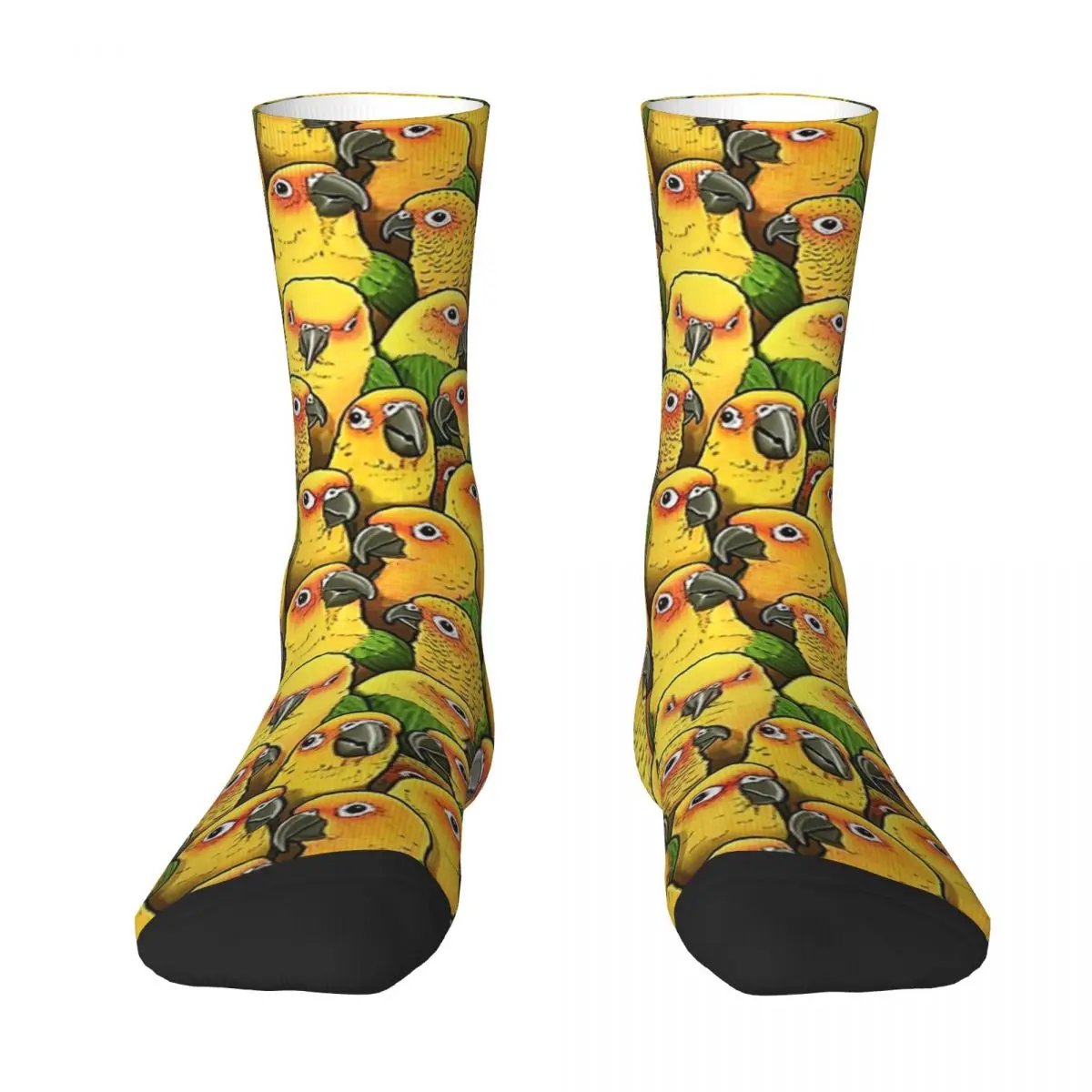 Jenday ConuresJenday Conures Adult Socks,Unisex socks,men Socks women Socks