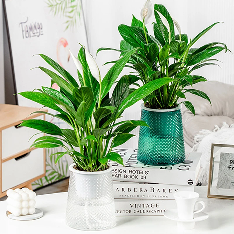 

1Pc Self Watering Planter Pots Plastic Mini Round Design Succulent Plant Pot Indoor Home Garden Decorative Pot Garden Supplies
