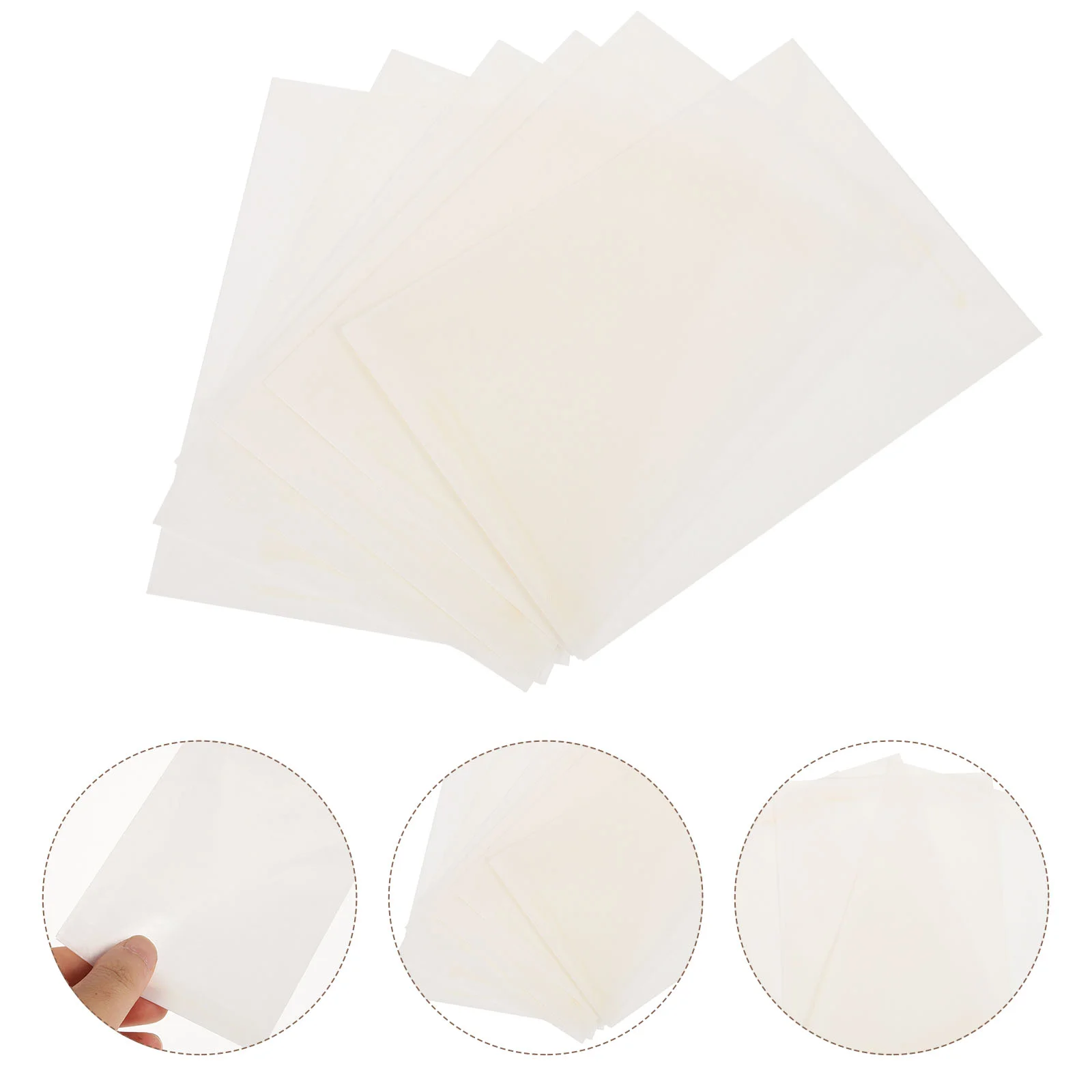 

20pcs Storage Bags Insect Bag Storage Bags Insect Bags Blank Storage Envelopes for Insects