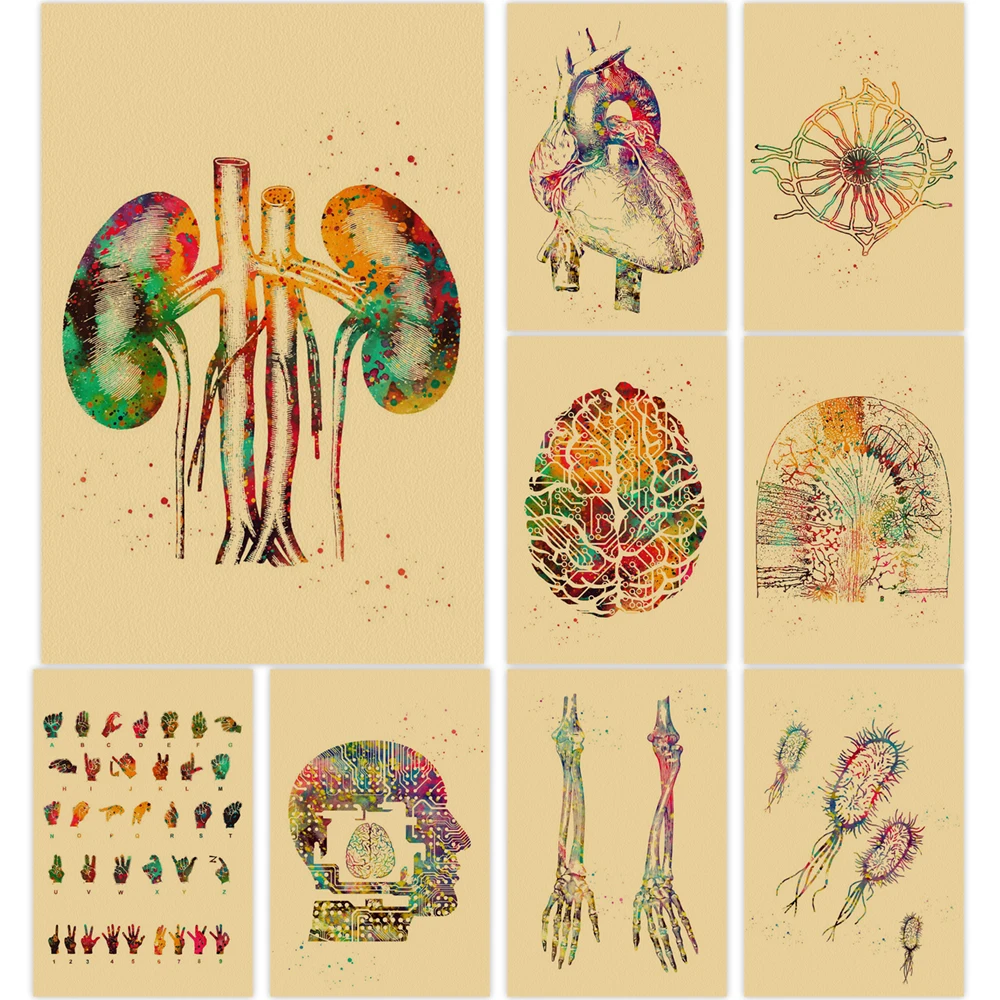 

Medical Clinic Human Anatomy Poster Classic Wall Art Skeleton Organs Pictures Aesthetic Room Decoration Kraft Paper Paintings