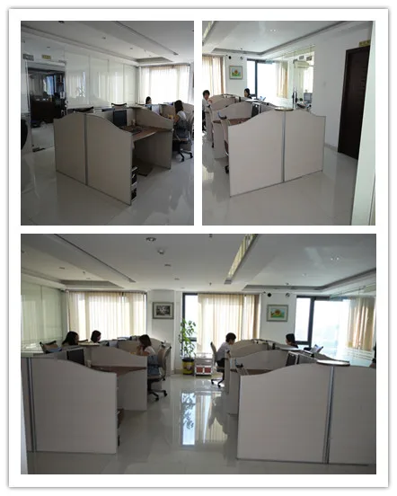 20 шт. оригинальные фотообои PLCC44 новинка |