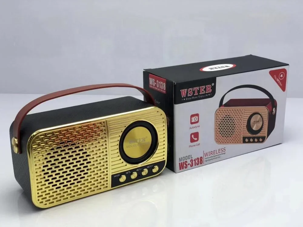Оригинальный WSTER WS3138 с поддержкой USB TF-карты FM-радио Dab тюнер Dj-система портативный