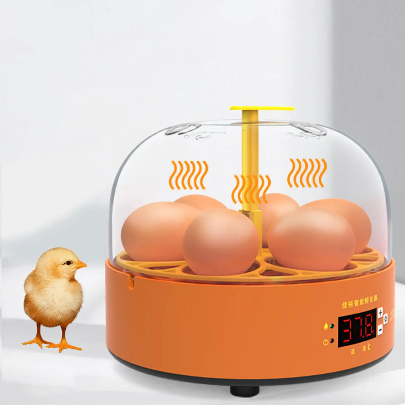 

6 Eggs High Hatching Rate Equipment Fully Automatic Incubator Automatic Hatchery Brooder Chicken Incubator Quail Brooder