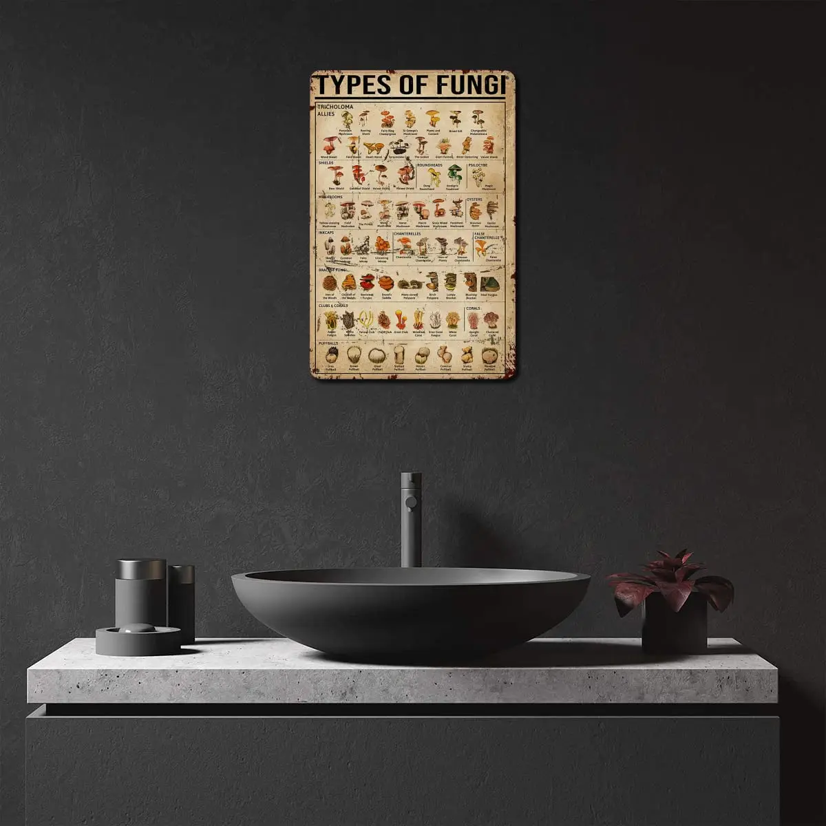 Dectinsign металлические жестяные знаки декор для стен в виде грибов знания о грибах