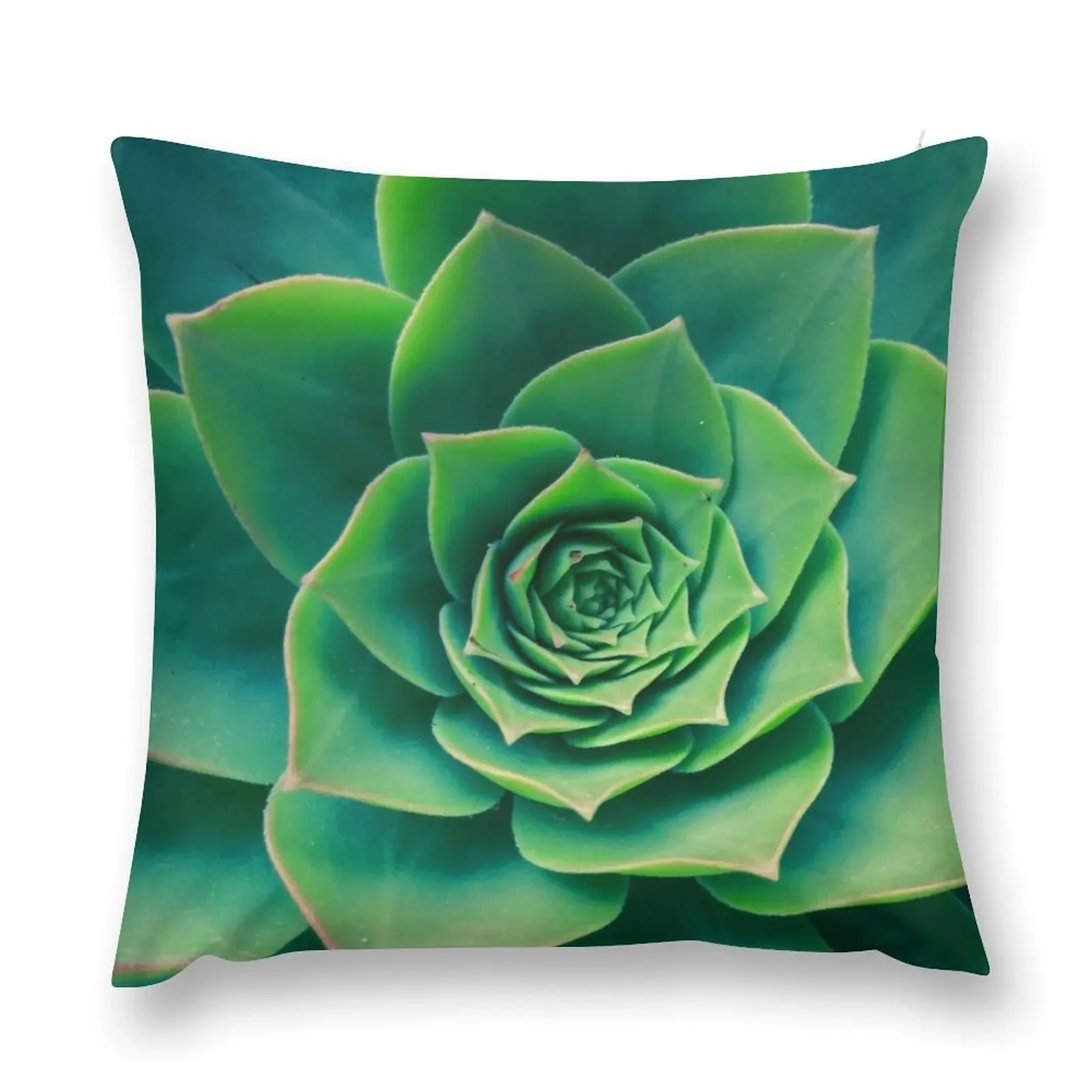 Растительный принт Кактусы Принт кактуса Скандинавский Модный стиль