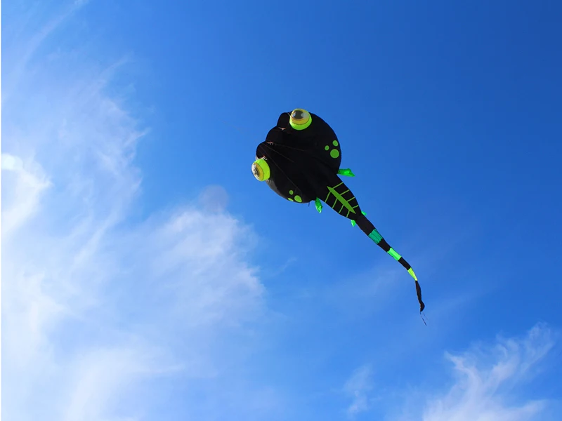 Воздушный змей Tadpole черный нейлон
