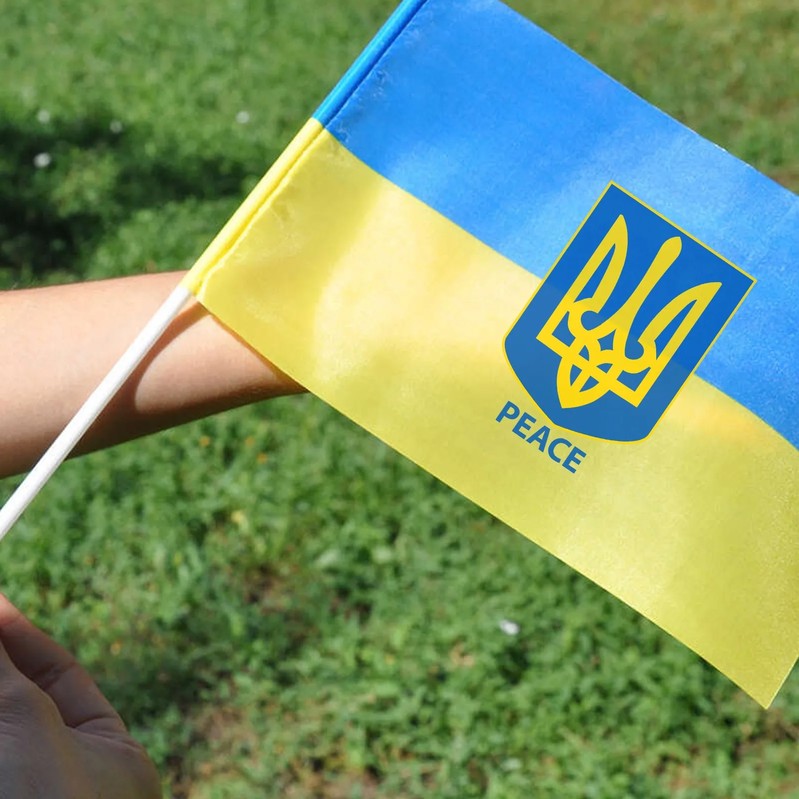 

Украинский флаг, 10 шт., ручной флаг, украинский флаг, 14 х21 см, ручной миниатюрный флаг мира, парадов вечерние праздничный баннер с белым шест
