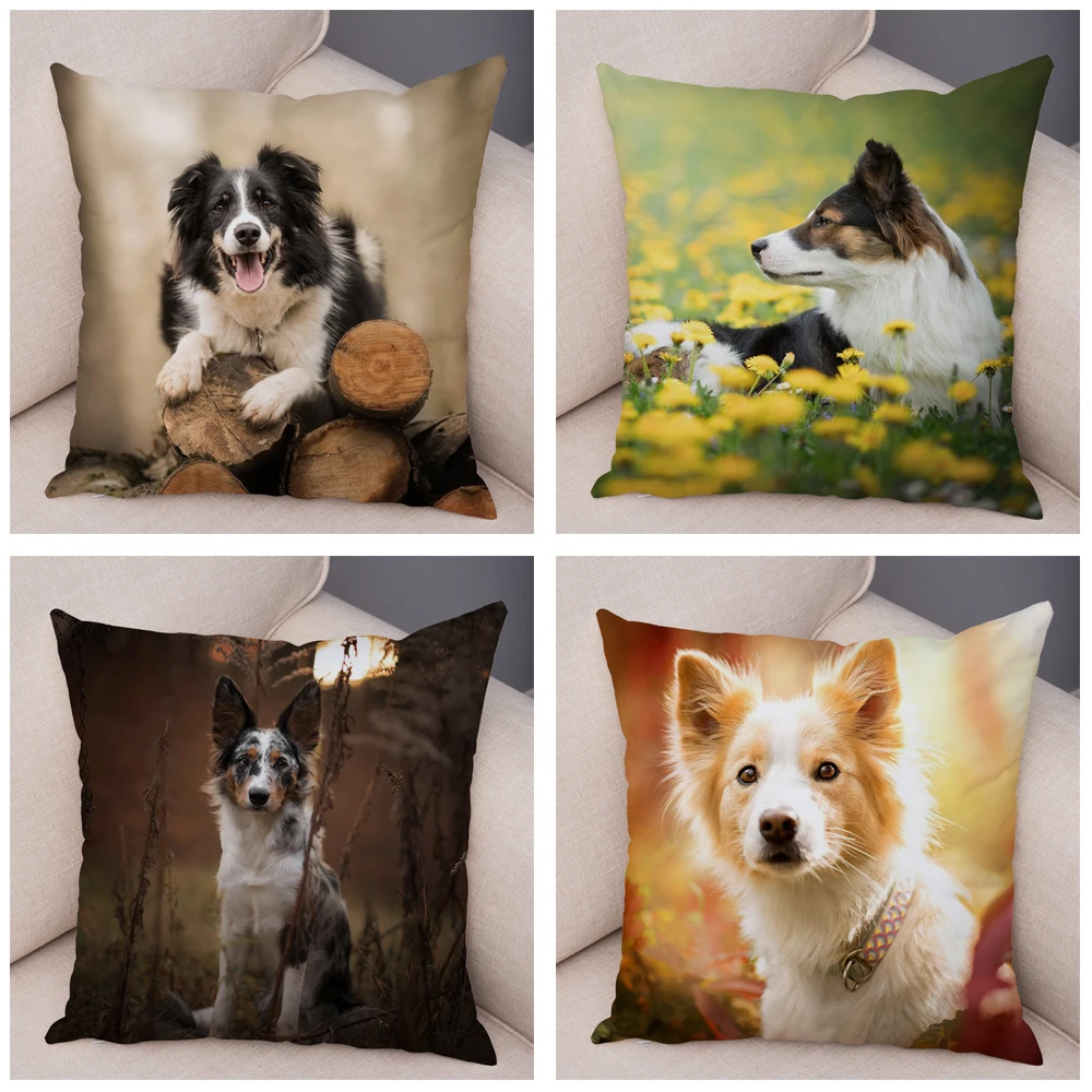 Cute Pet Animal Dog Print Pillowcase Scottish Border Collie Cushion Cover Pillowcase Sofa Car Decoration images - 6