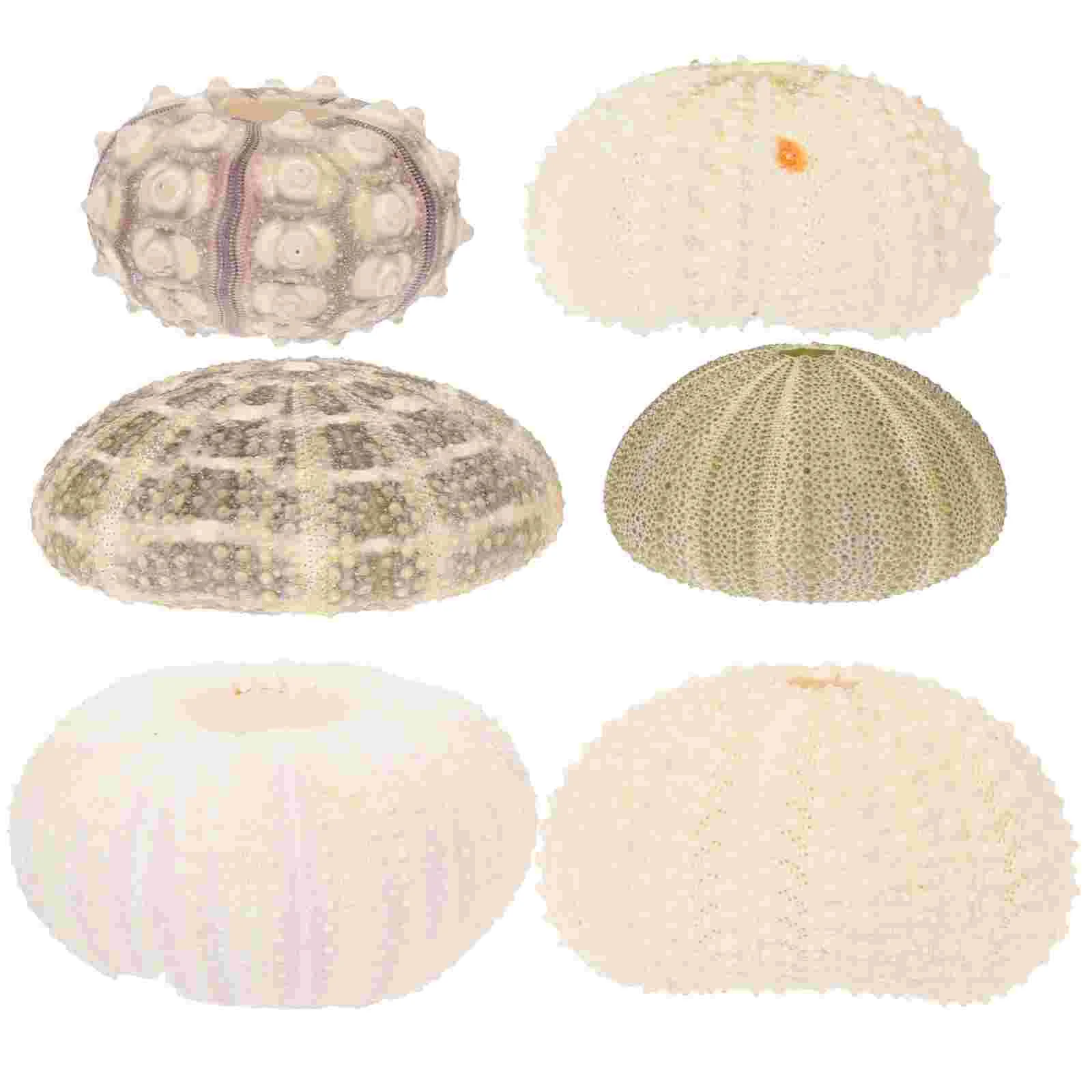 

6pcs Urchin Air Pot Creative Urchin Flowerpots Diy Crafts for Tank