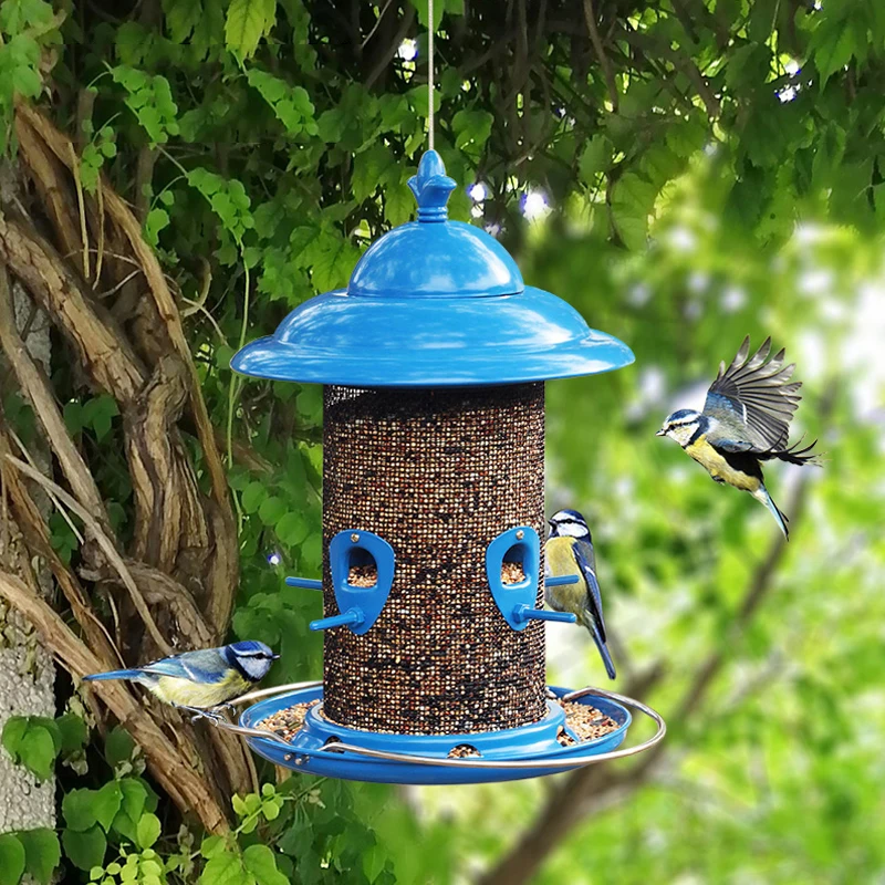 

2.5kg Capacity Blue Varnish Stainless Steel Outside Hanging Wild Bird Feeder