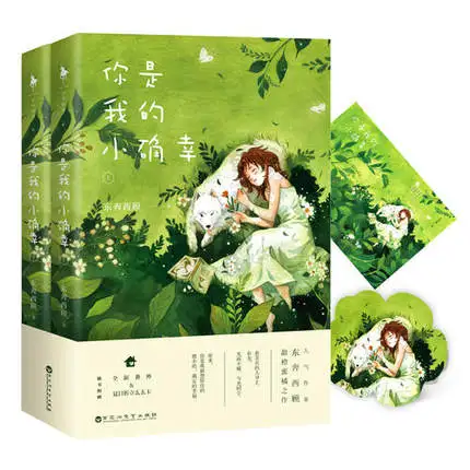 

Chinese Sweet love novels- you are my lucky by dongbenxigu / Chinese Popular Novel Fiction Book