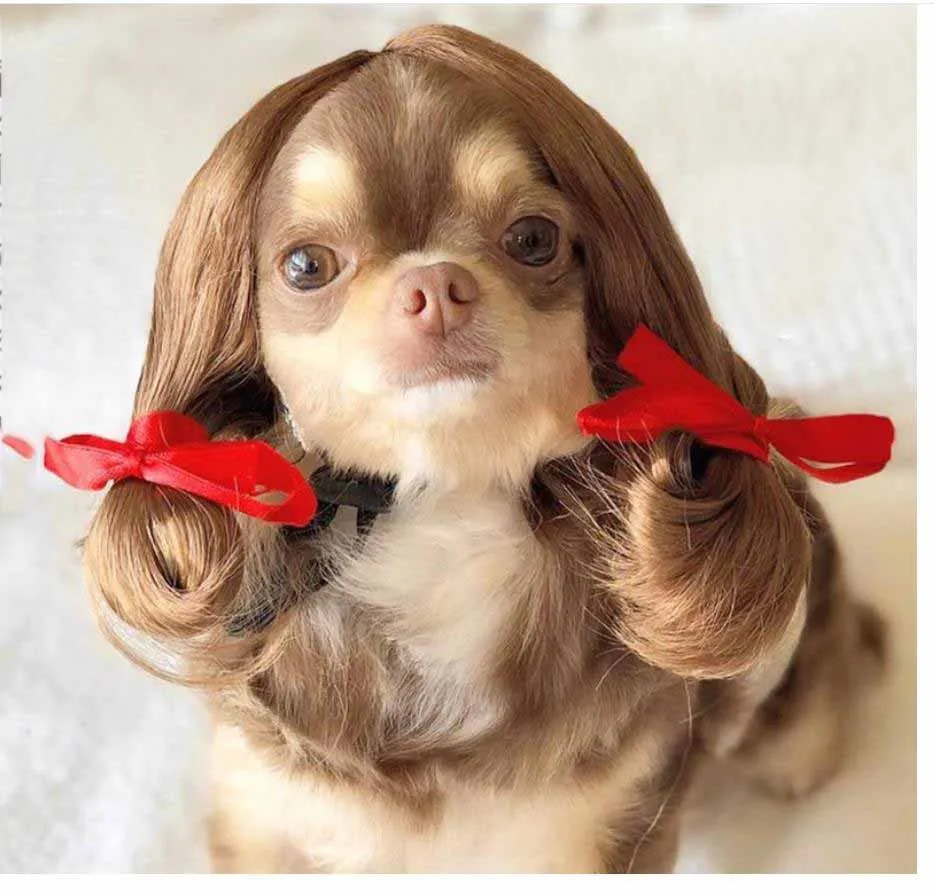 

Pet Wigs Cosplay Props Funny Dogs Cats Cross-Dressing Hair Caps Costumes Head Accessories for Halloowen Christmas Pets Supplies