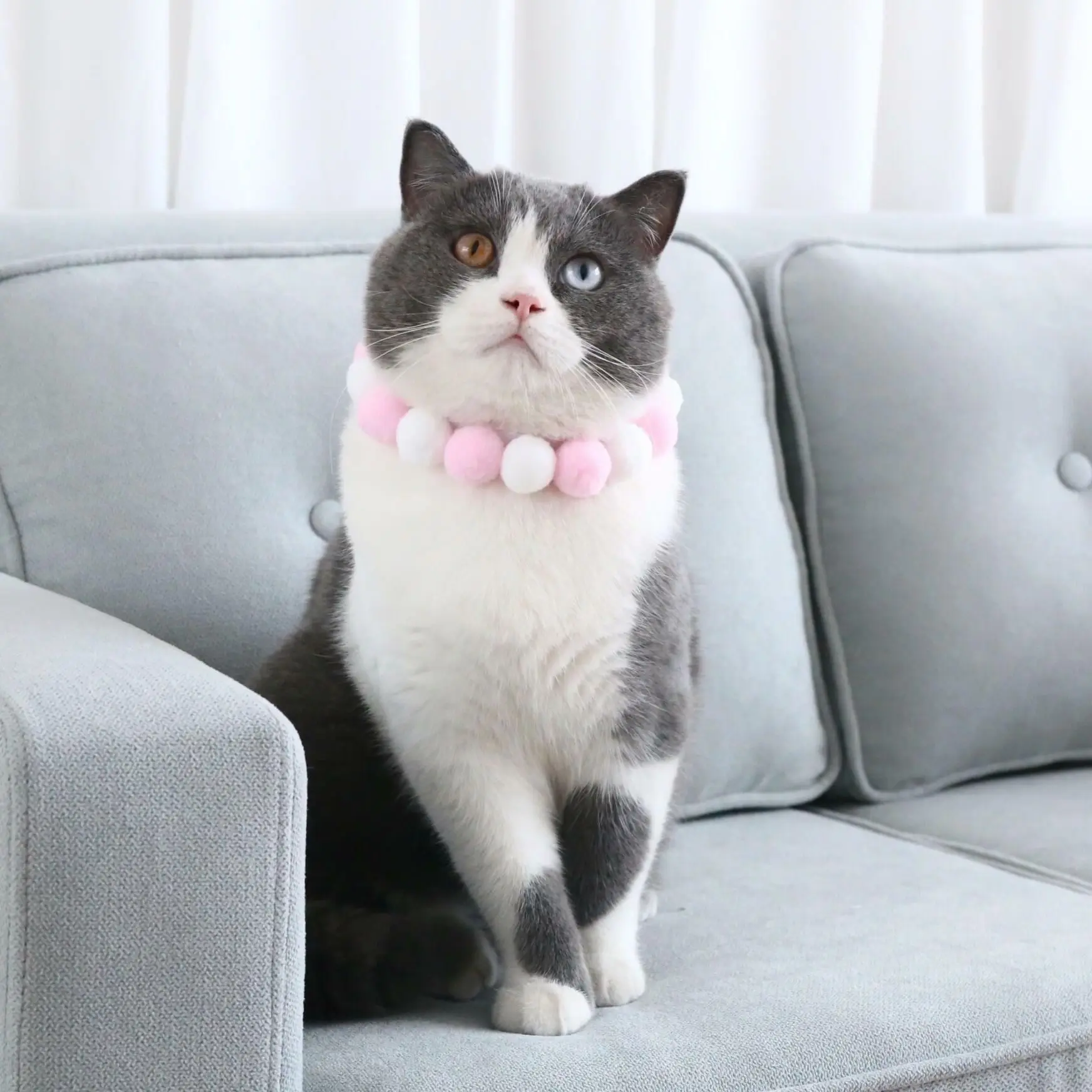 

Ошейник для домашних животных, кошек, собак, макарон, цветная липучка, милый мяч, самоклеящееся ожерелье на день рождения, Рождество, котенок...