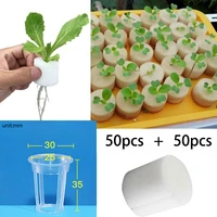 50pcs soilless hydroponic vegetables nursery pots nursery sponge flower cultivation balcony soilless cultivation system trays