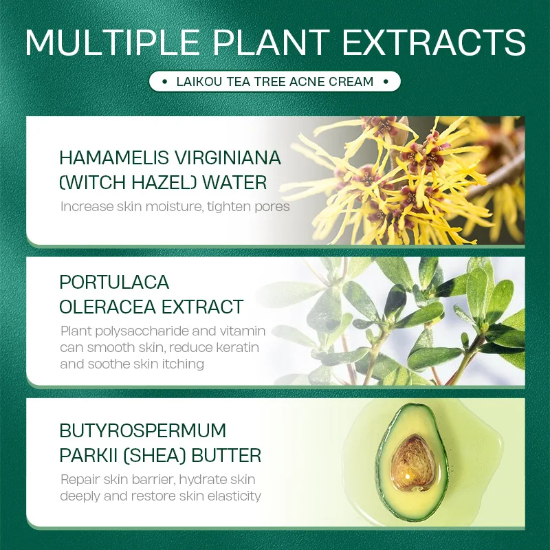 Tea Tree Acne Cream 20g Soothing Removal Oil Control Promote Skin Cell Metabolism And Cure Lncrease Moisture 1pcs |