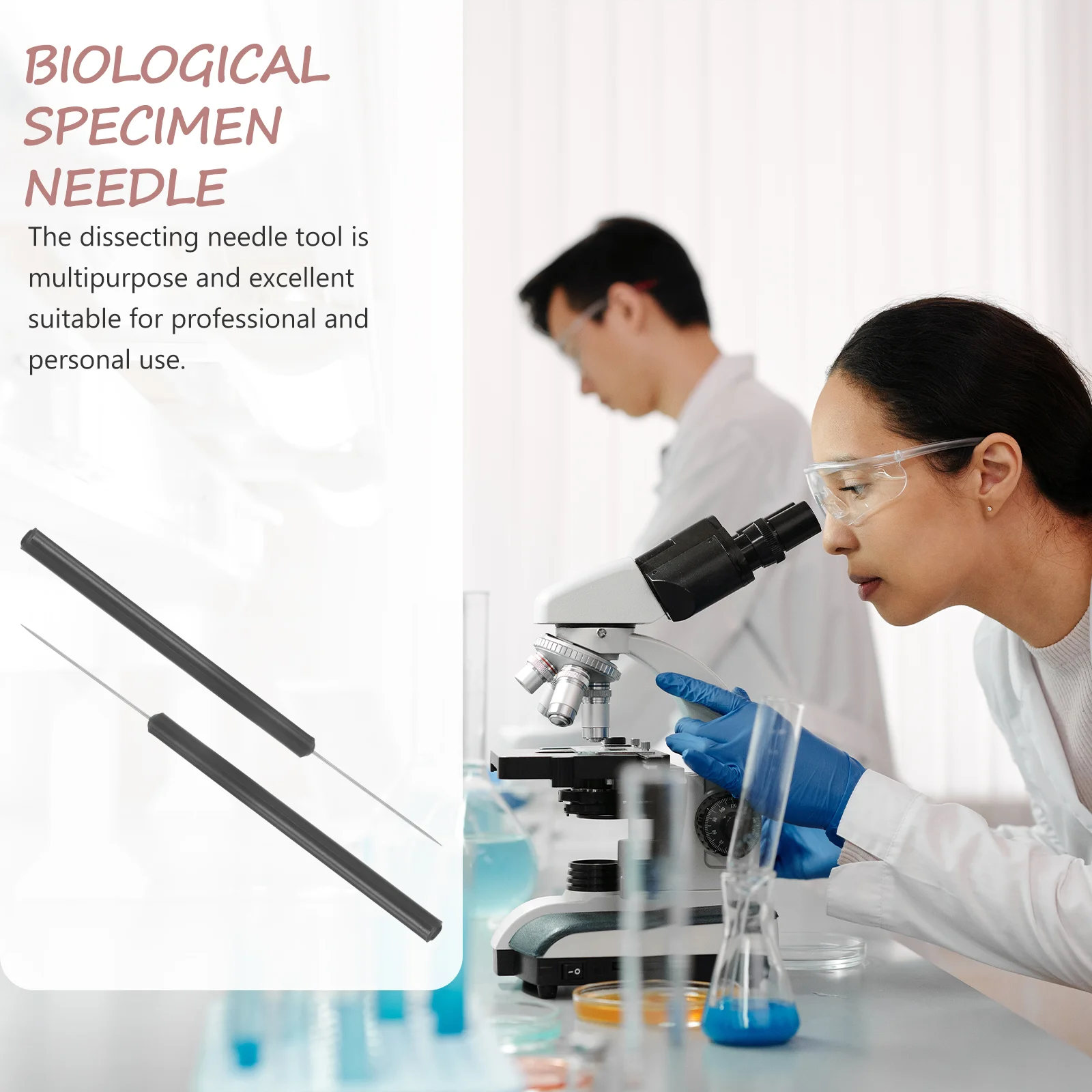 2 Pcs Insect Dissecting Needle Entomology Specimen Dissection Butterfly Tool Stainless Steel Laboratory School