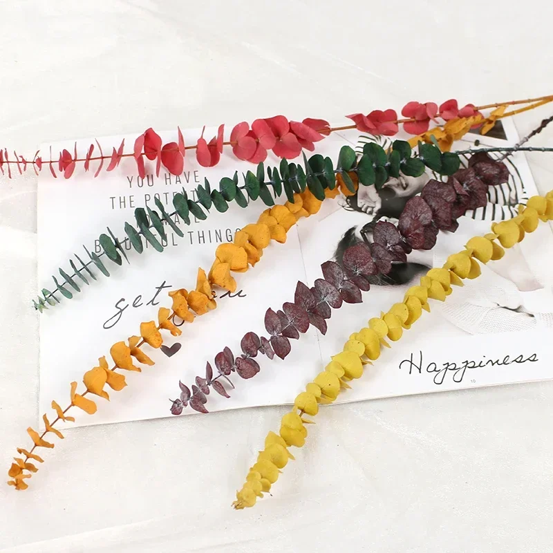 

10Pcs Natural Dried Flower Eucalyptus Leaves Wedding Decoration Table Room Colourful Eucalyptus Branches Stems Boho Home Decor