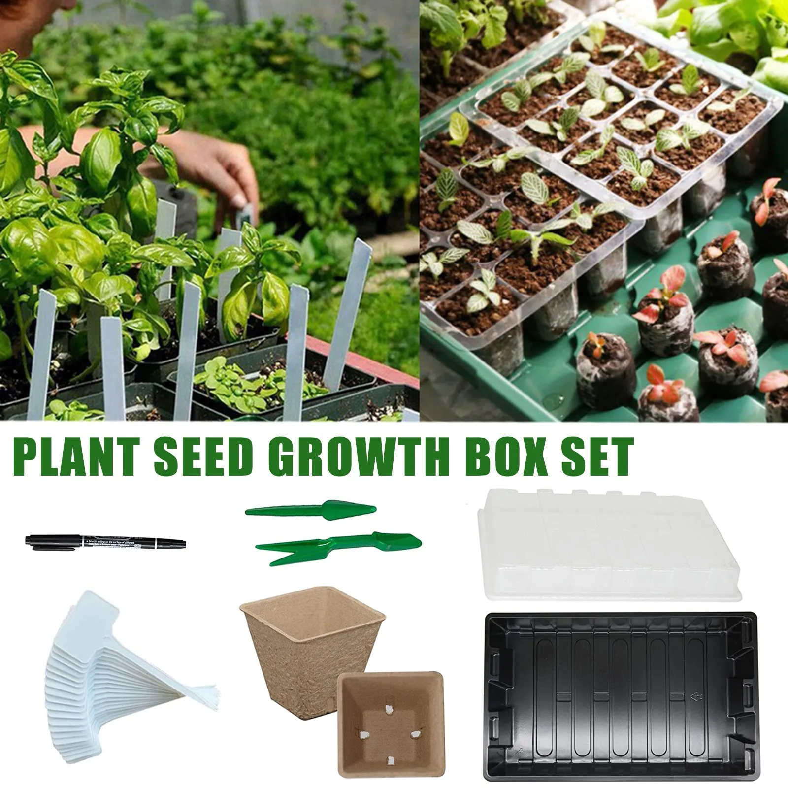 

Northeast Blend Seed Kit For Nursery Trays For Indoor And Outdoor Use(10ml) The Greed