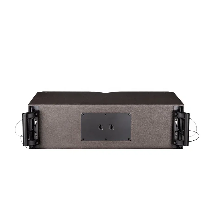 210 двойная 10-дюймовая профессиональная звуковая система Pro Audio DSP с автономным