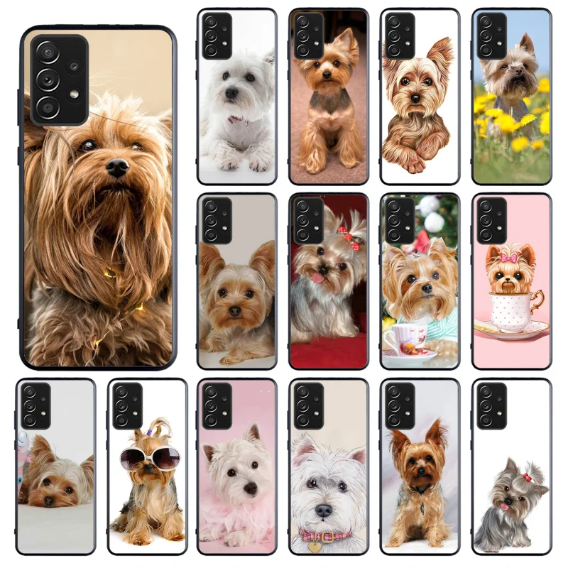 

Phone Case for Samsung Galaxy A73 A53 A13 A22 A12 A32 A71 A21S A33 A52 A72 A02 A03 A51 A31 M31 Cute Yorkshire terrier dog
