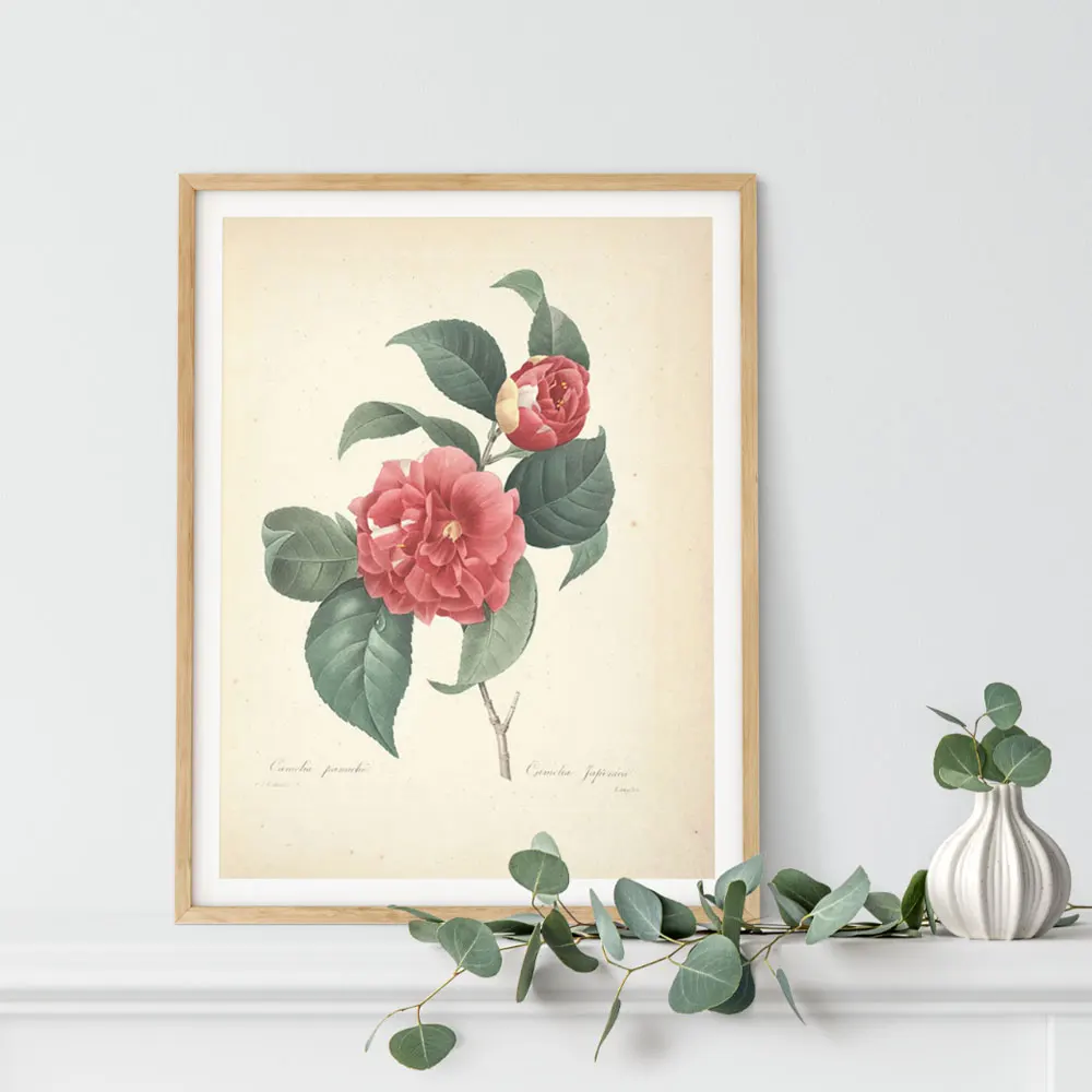 

Flower Art Wall Painting Poster Room Artistic Canvas Posters Dropshipping Decorative Painting Wall Art Decor for Living Room