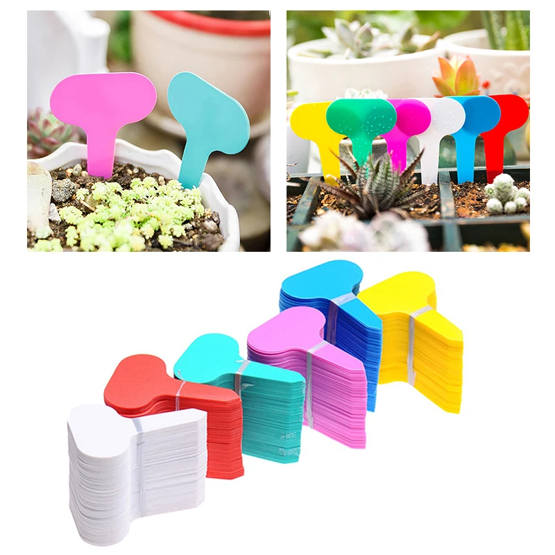 

100pcs Garden Plant Markers Classification Etiquetas Plantas Jardineria Accesorios Plantas Mini Etiquetadora Plant Accessories