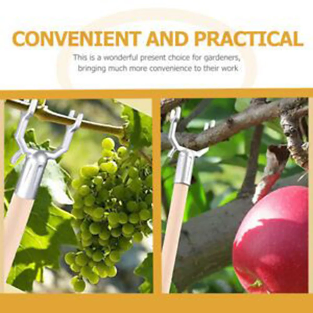 

8 Pcs Fruit Tree Branch Support Fork Head Bracket Plant Branch Support Decorative Bracket Garden Tool Accessories