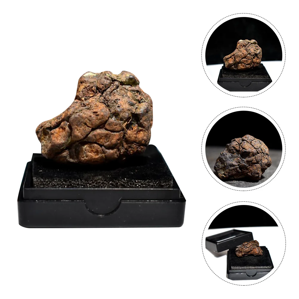 

Olive Meteorite Real Educational Plaything Decor Childrens Toys Model Space Decoration Teaching Tool Lithosiderite