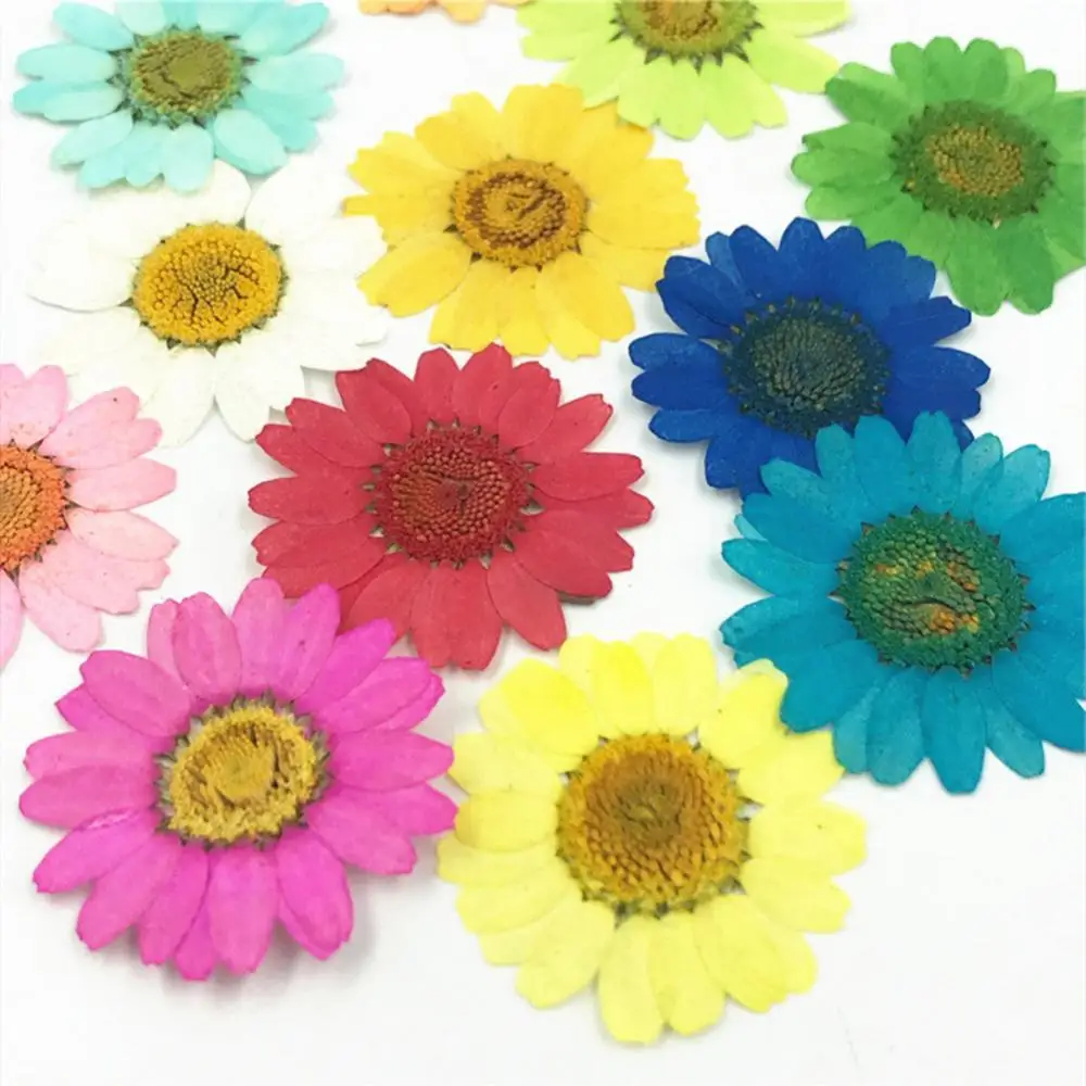 

12Pcs Pressed Dried Natural Flower Epoxy Resin Nail Craft DIY Phone Decoration