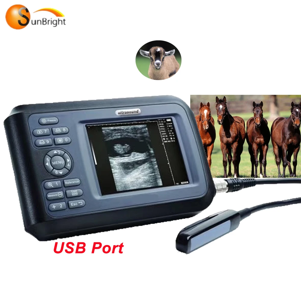 

5 Inches LCD Handheld Full Digital Vet veterinary ultrasound machine
