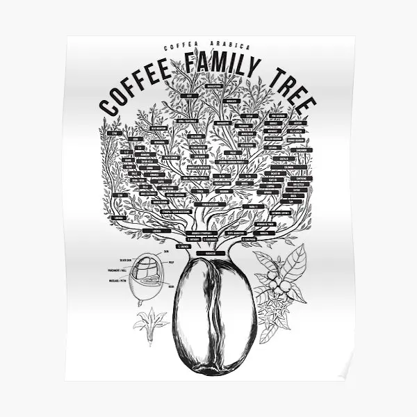Постер с изображением семян кофейных растений домашний современный винтажный
