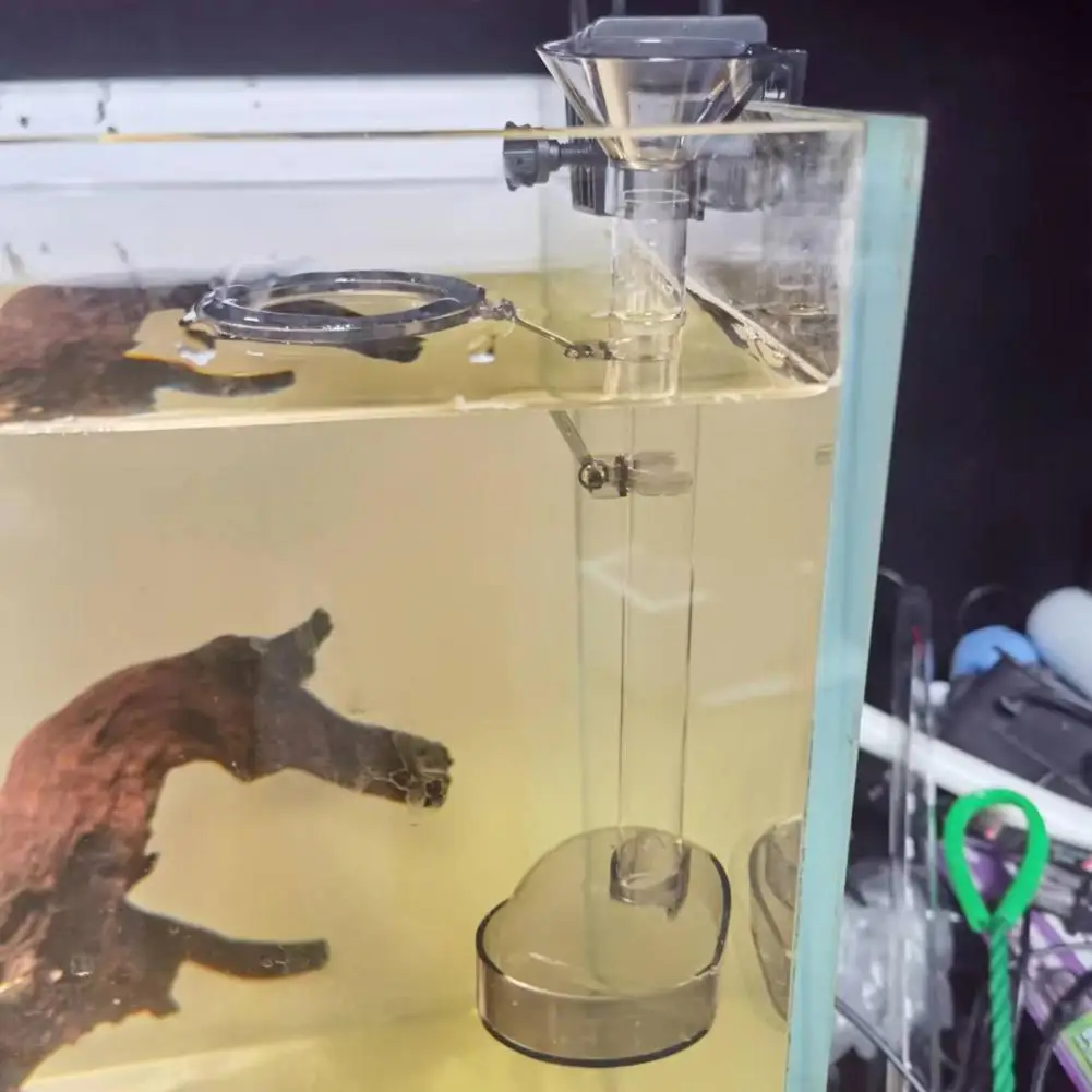 

Кормушка Для Креветок для аквариума с фиксированной точкой