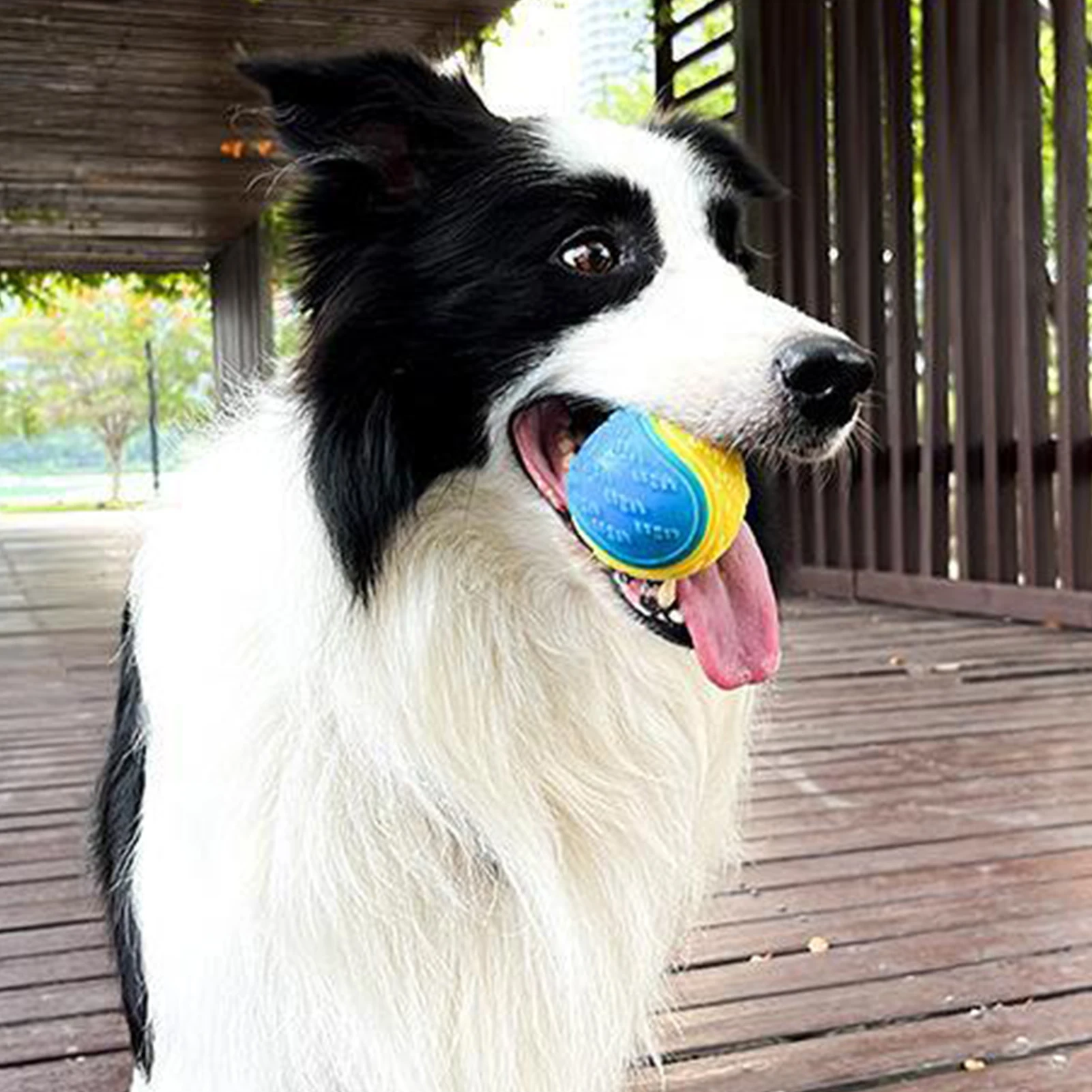 Bite-resistant Pet Dog Toy Rubber Ball Beef-flavored RubberElastic Ball Prevent Dog From Destroying Things Dog Training Supply