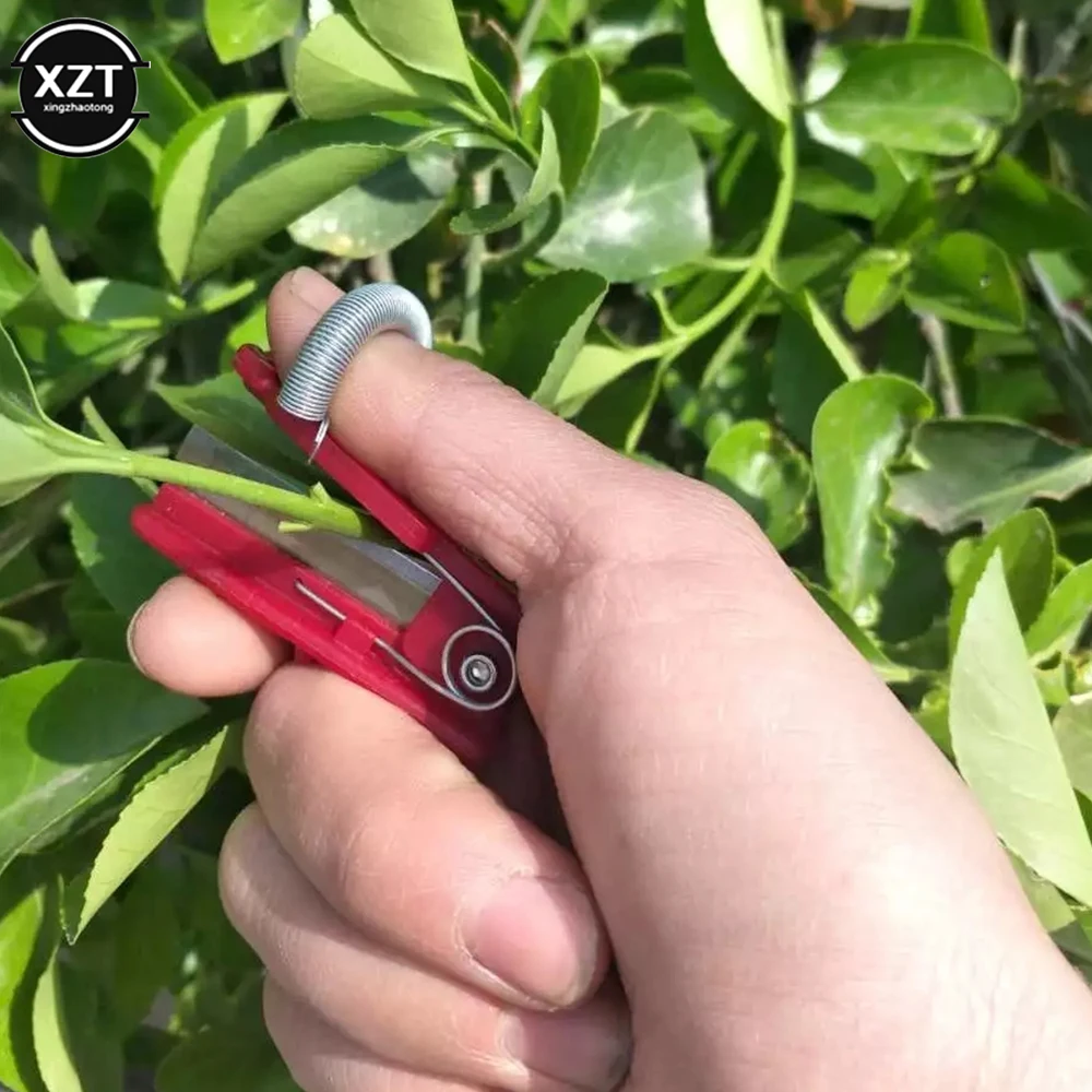 

Multifunction Vegetable Fruit Harvesting Picking Tool Vegetable Thump Knife Separator Garden Picking Orchard Gardening Tools