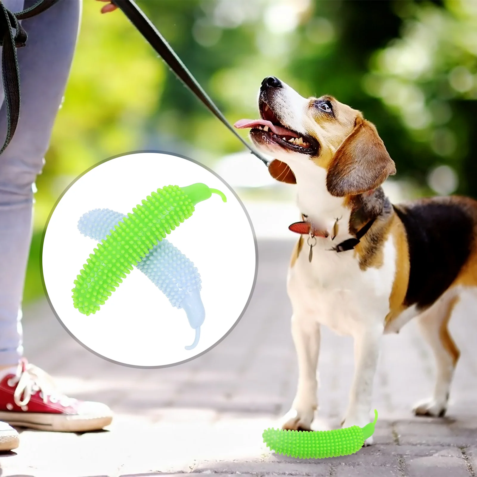 

Dogchew Pet Molar Teething Chewing Biting Interactive Bite Teeth Cleaning Resistant Dogs Squeakycucumber Teether Kitten