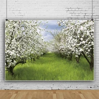 natural scenery photography background flower spring landscape travel photo backdrops studio props szly 17