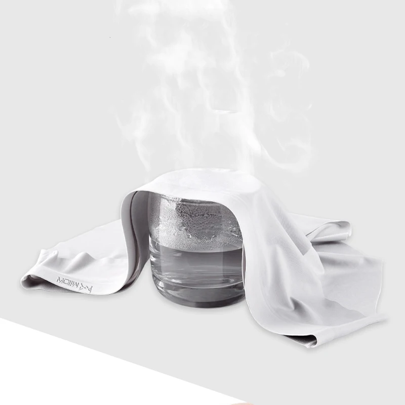 MiiOW 3Pcs Ice Silk Sexy Men's Briefs Underpants Breathable Man Underwear Briefs Transparent MR8058 Sexy Men Underwear