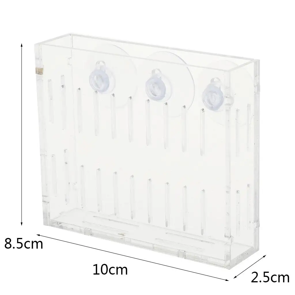 Акриловые семена растений подставка для чашки Glossostigma Hemianthus кореtrichoides